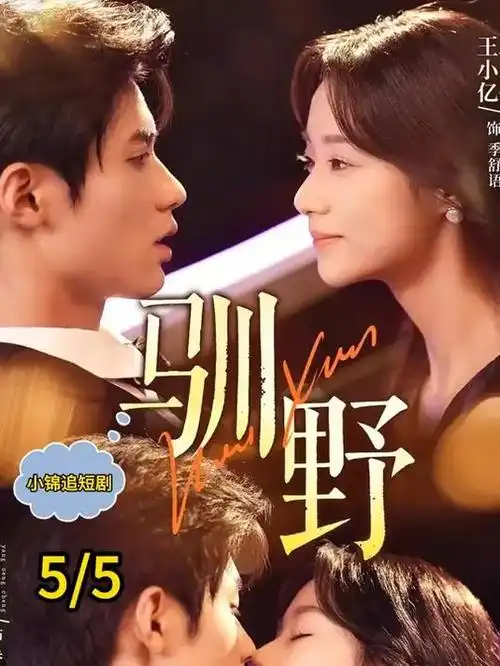 迷雾航线热播剧全集免费观看